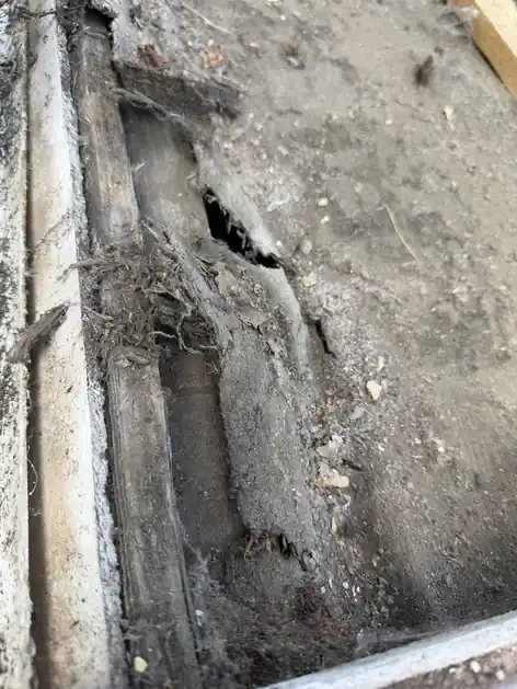 Rotten timber and debris in an old box gutter
